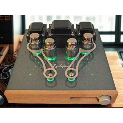 Neoson Evolution